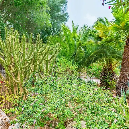 Villa Pina - Eco Pina -